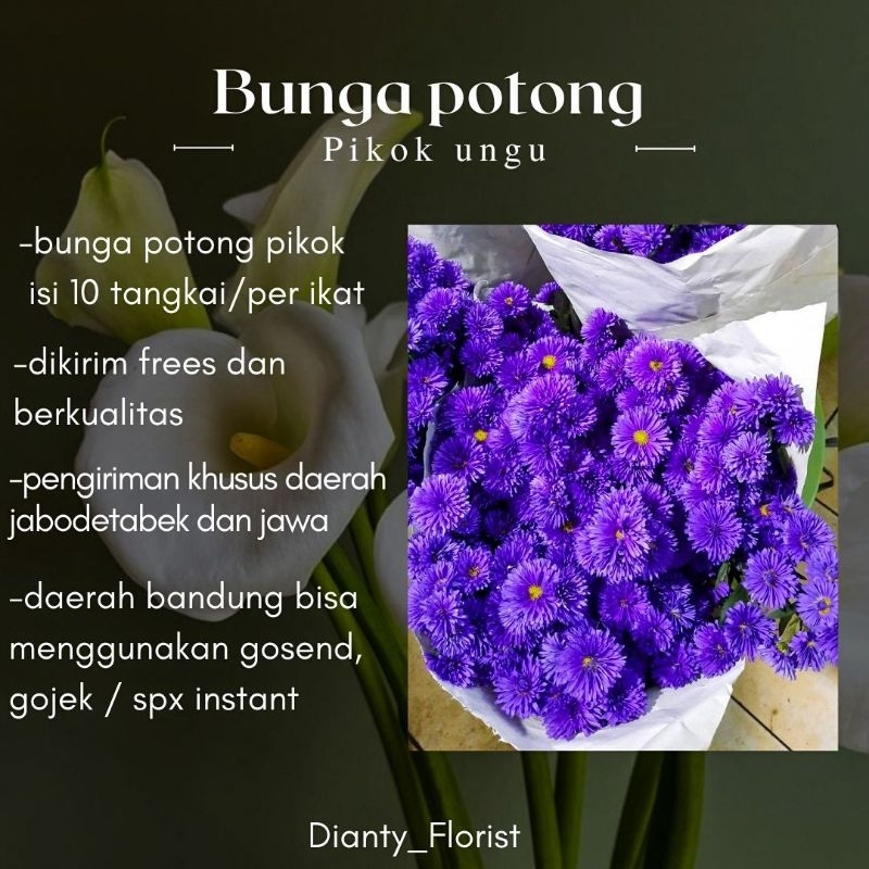 Bunga Potong Pikok Ungu