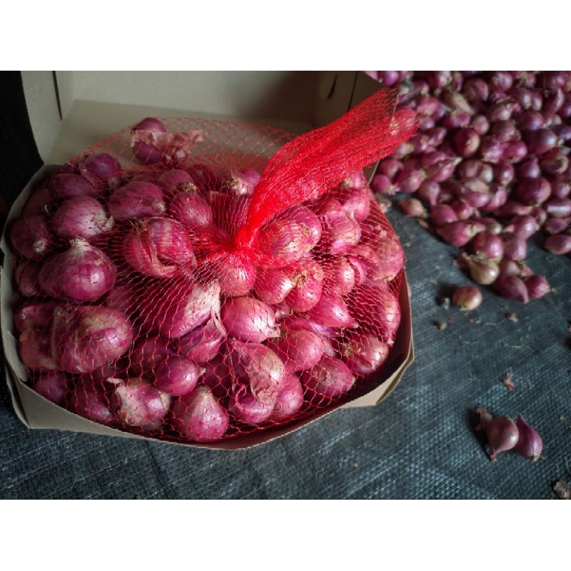 

Bawang Merah nganjuk kualitas premium