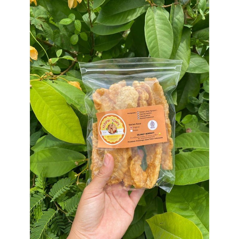

TEMPE KRIPIK NGRAYUN PONOROGO