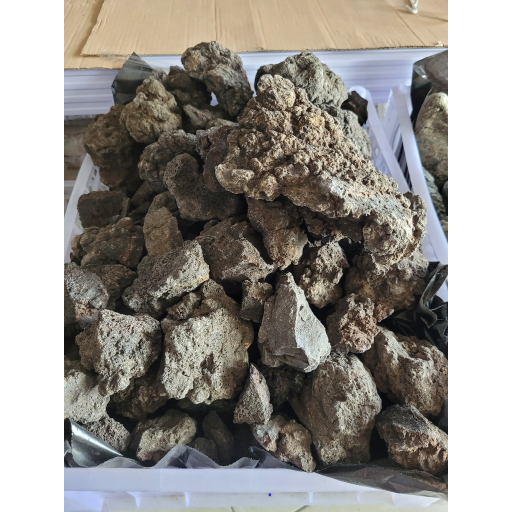Batu Lava Rock Hiasan Aquarium Aquascape Media Filter Ikan