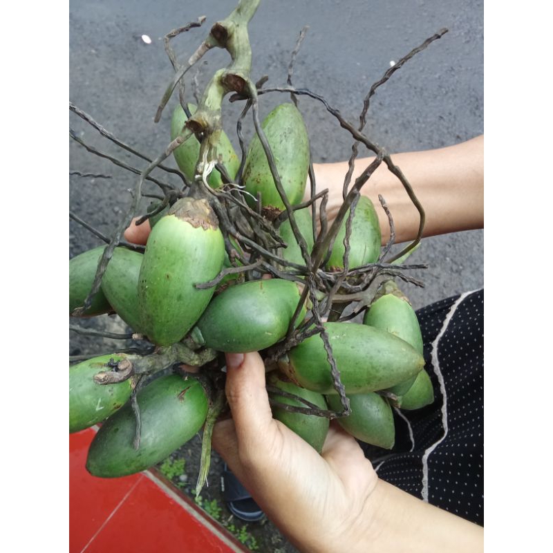 

buah jame muda ,,atau buah pinang muda