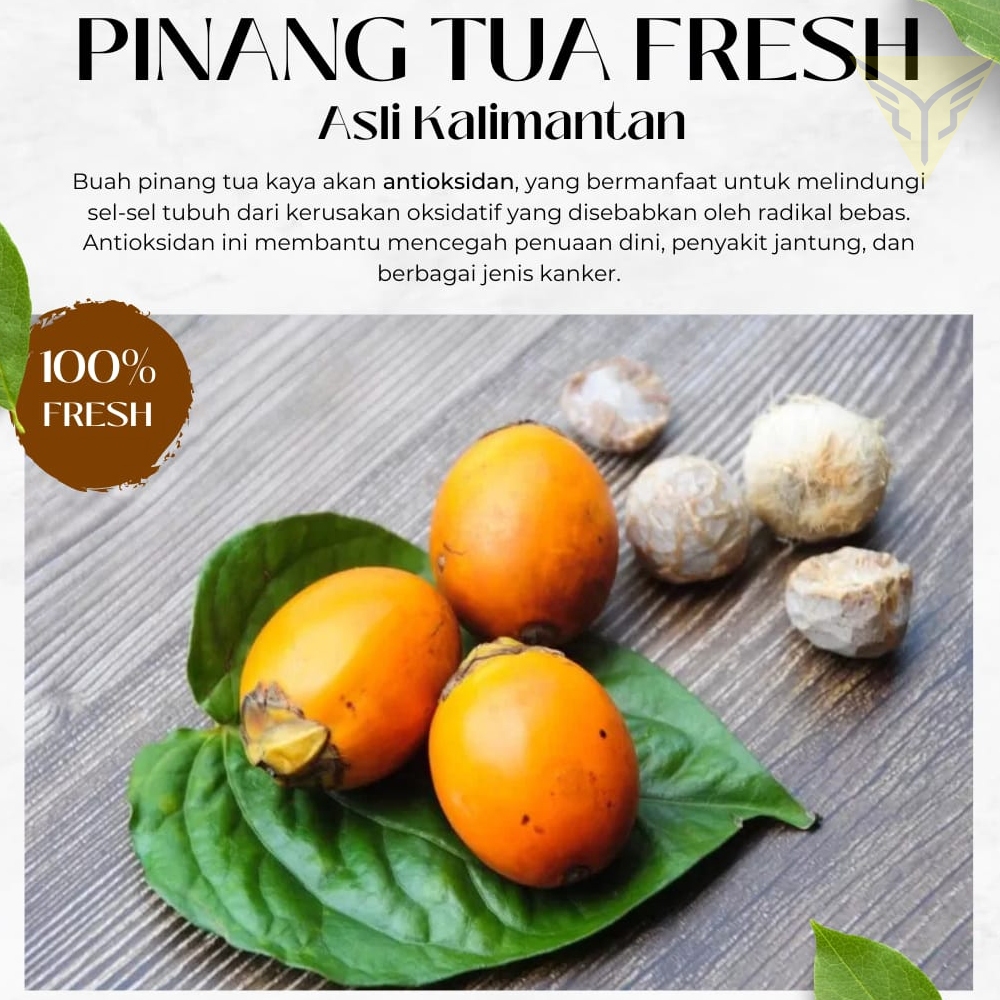 

ANDYART Pinang Tua Fresh Asli Kalimantan 500 Gram