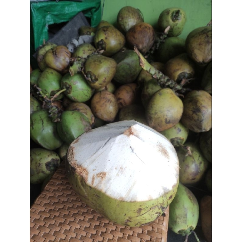 

kelapa muda grosir