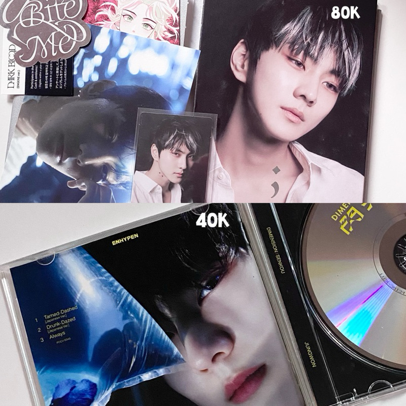 album enhypen jungwon senkou soljak, dark blood | BACA DESKRIPSI!