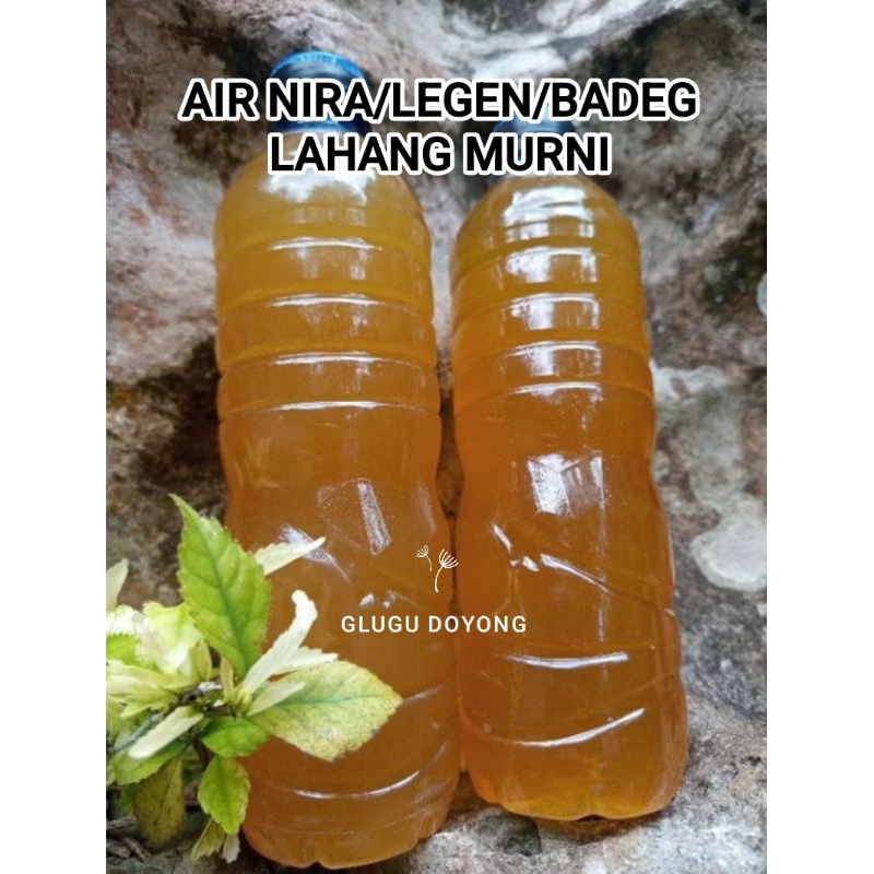 

AIR NIRA LEGEN BADEG LAHANG MURNI SUDAH MATANG