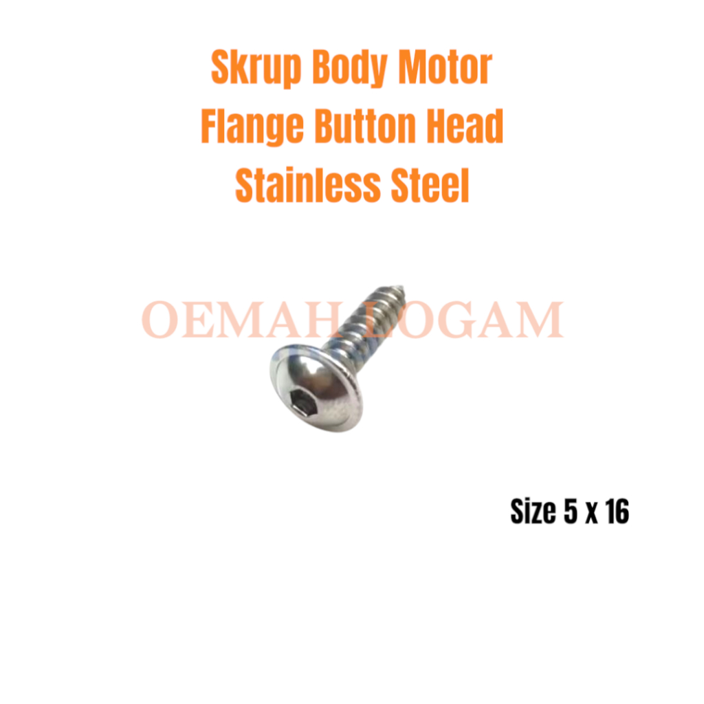 BAUT L SKRUP BODY MOTOR UNIVERSAL 5 x 16 FLANGE BUTTON HEAD STAINLESS