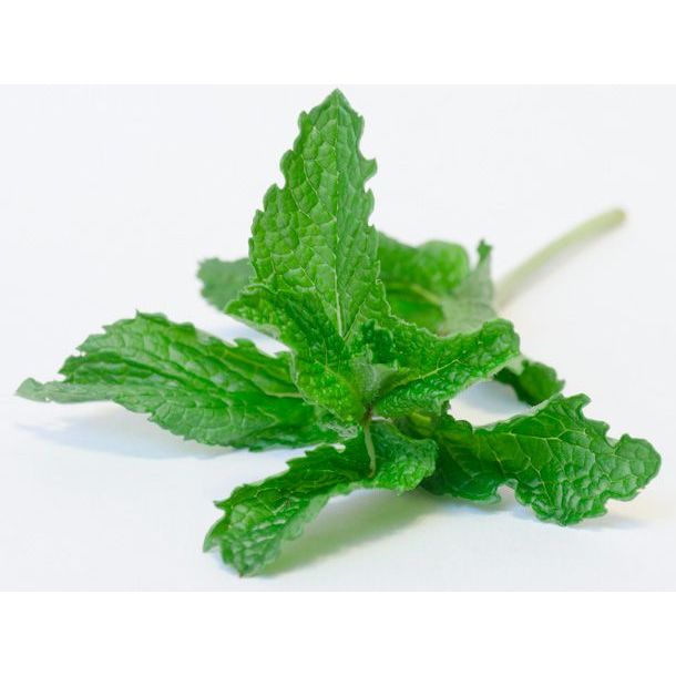 Terlaris Chan Namax Obat Luka Pasca Operasi Luka Diabetes Ampuh Original