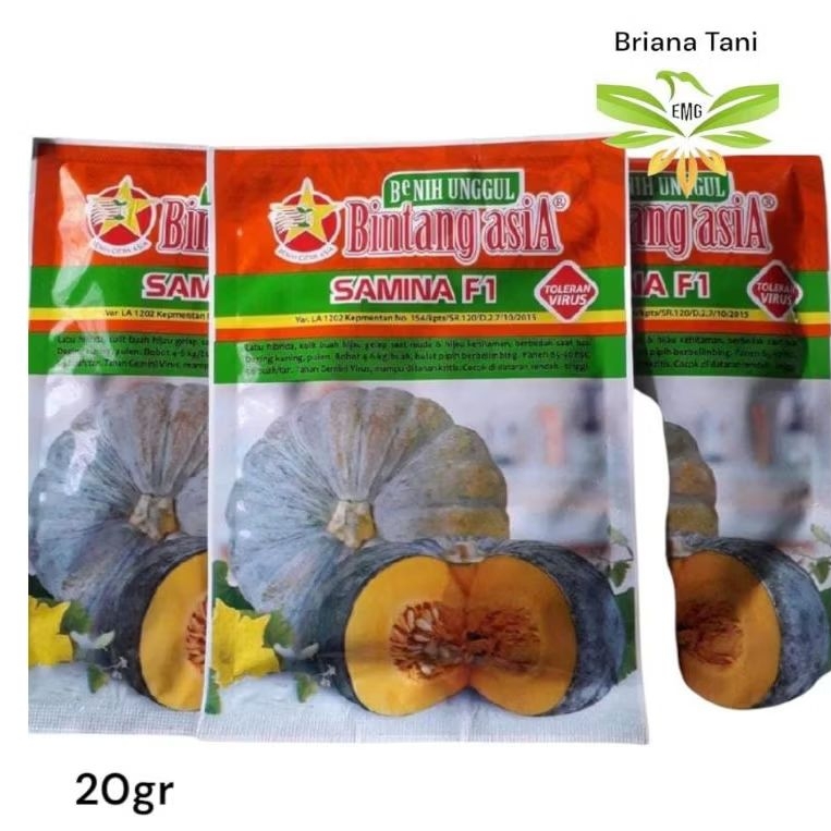 Samina 20gr Benih Waluh Labu  Kuning Super Jumbo Bintang Asia Suprema