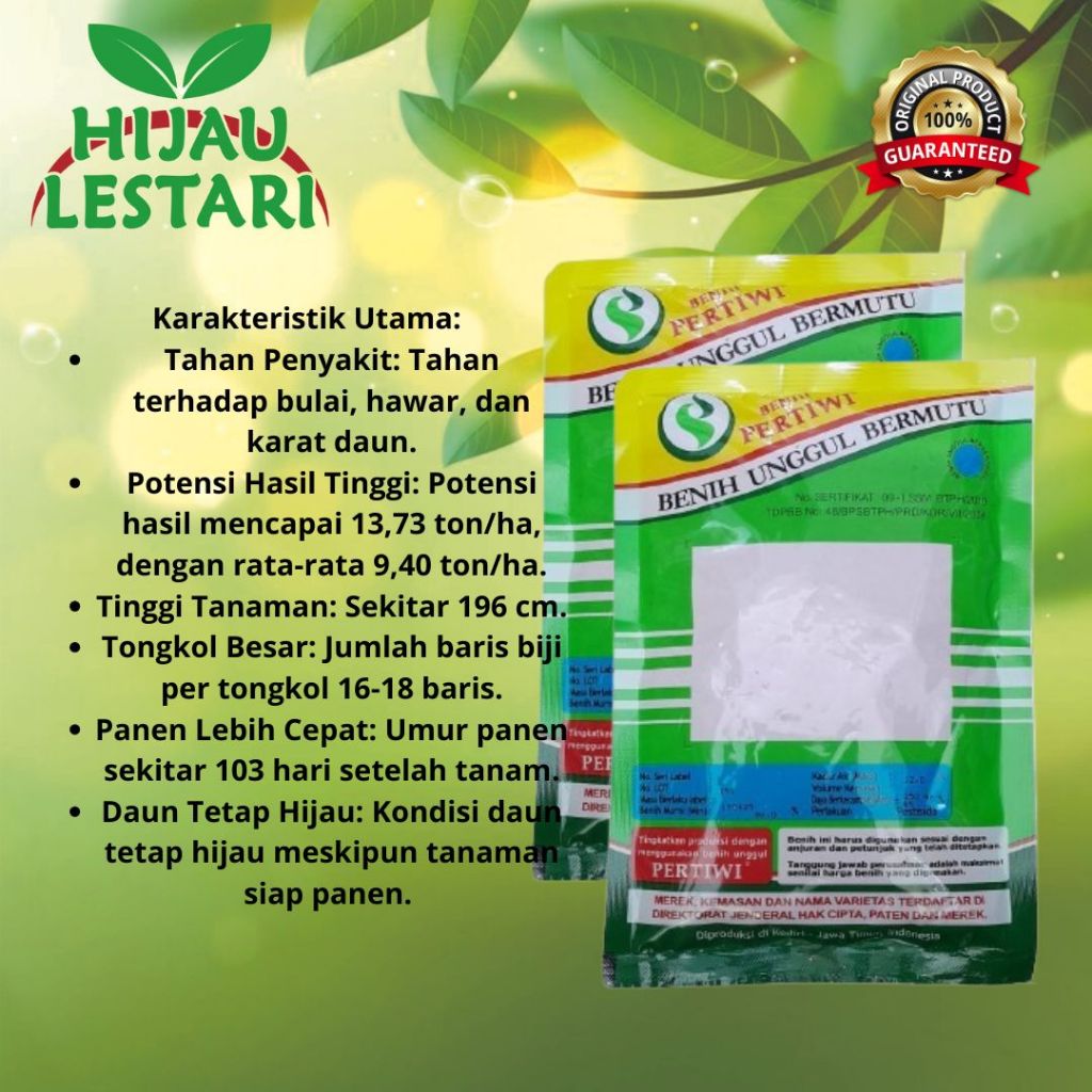 

Jagung Pertiwi 3 benih jagung hibrida F1 Benih jagung unggul