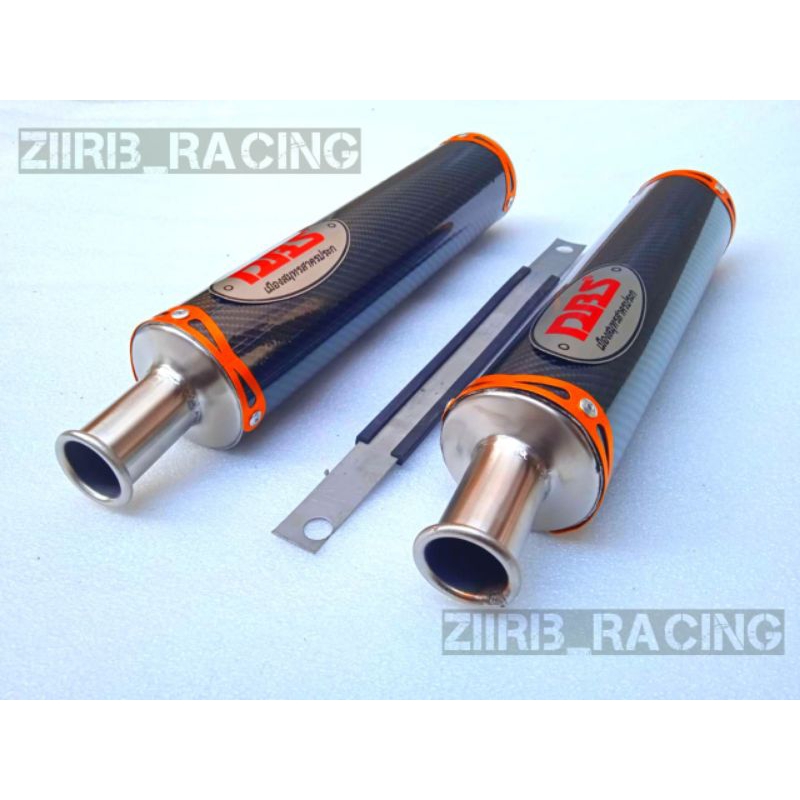 Exhaust 2 Stroke DBS Manifold / muffler only