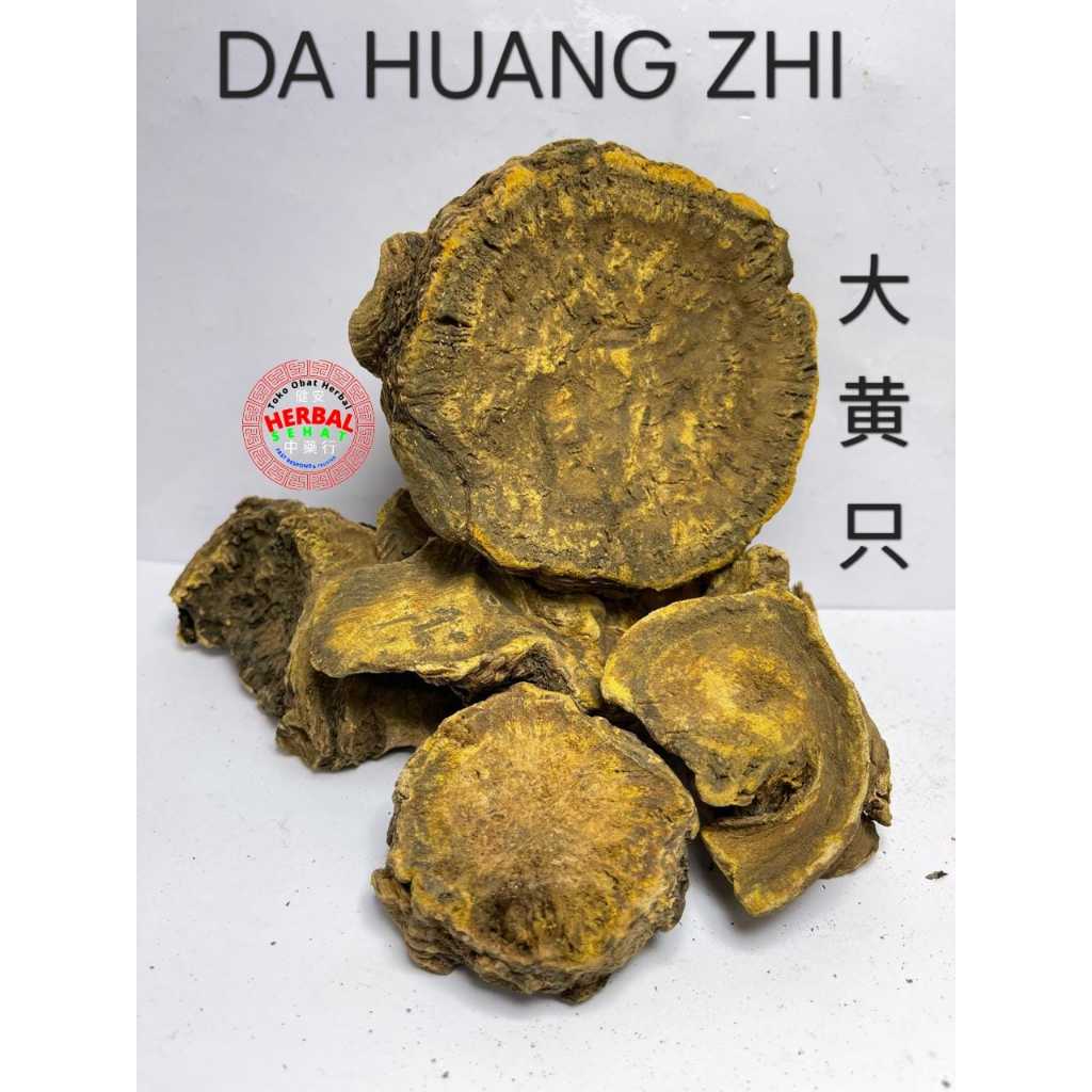 

Da Huang Zhi Rhubarb Root Radix Rhizoma Rhei - Tapak Kuda