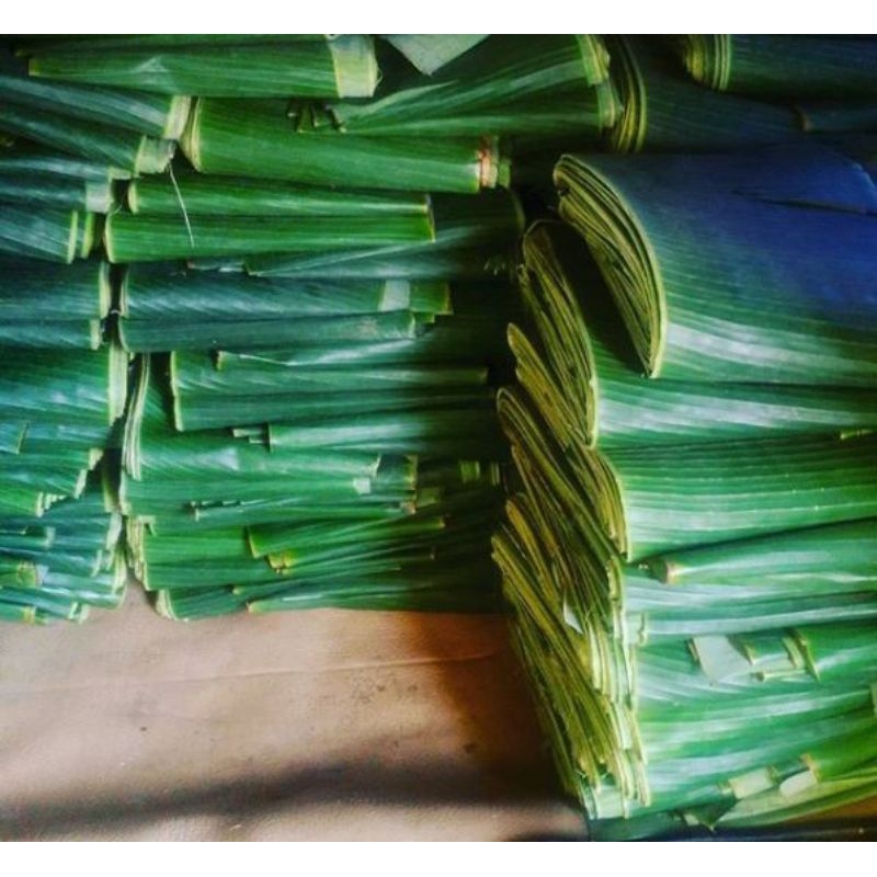 

DAUN PISANG SEGAR, kualitas terbaik, bersih, dan siap digunakan