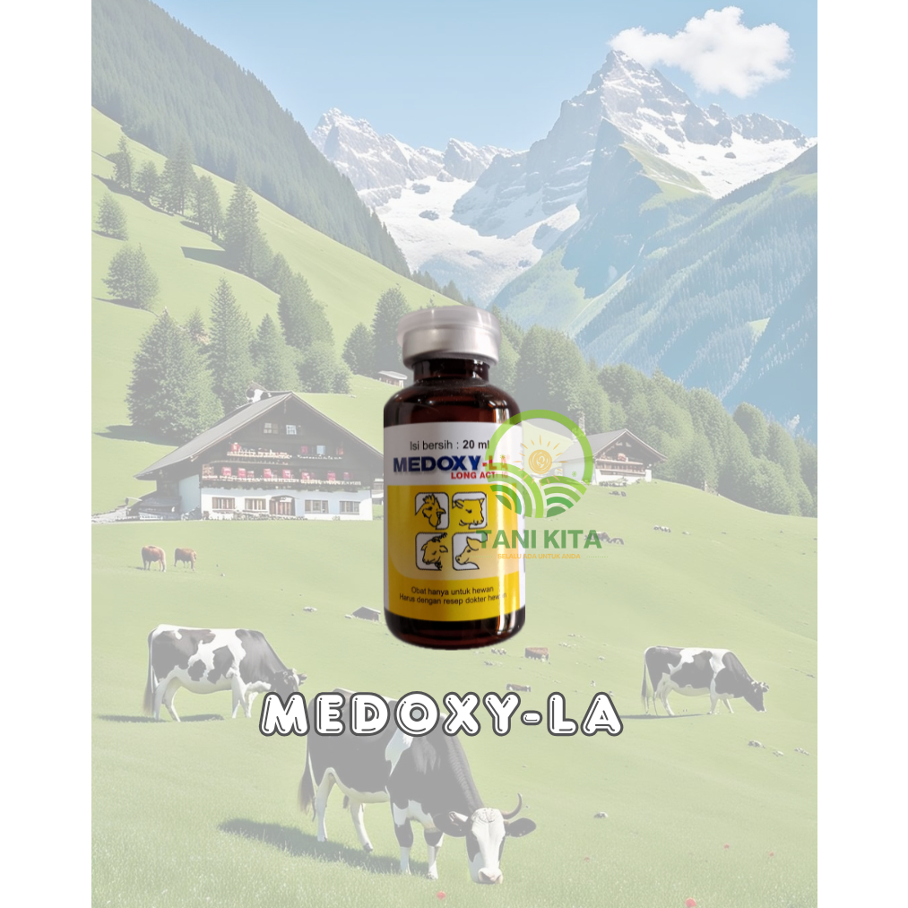MEDOXY LA 20ML - ANTIBIOTIK UNTUK AYAM, SAPI, DOMBA