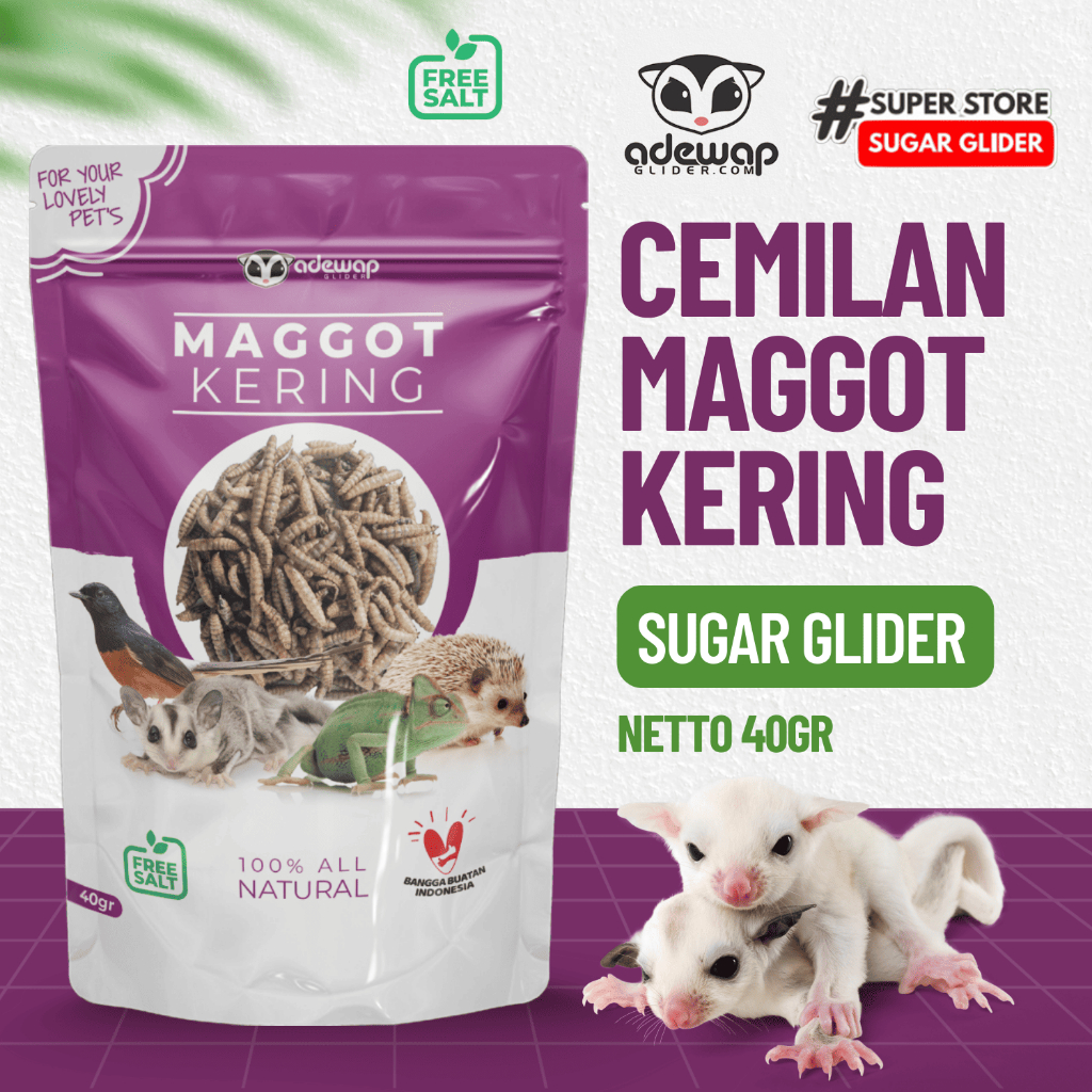 ADEWAP GLIDER Maggot Kering Camilan Serangga Sugar Glider