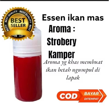 Essen oplosan stroberi kamper 30ML STRAWBERRY KAMPER