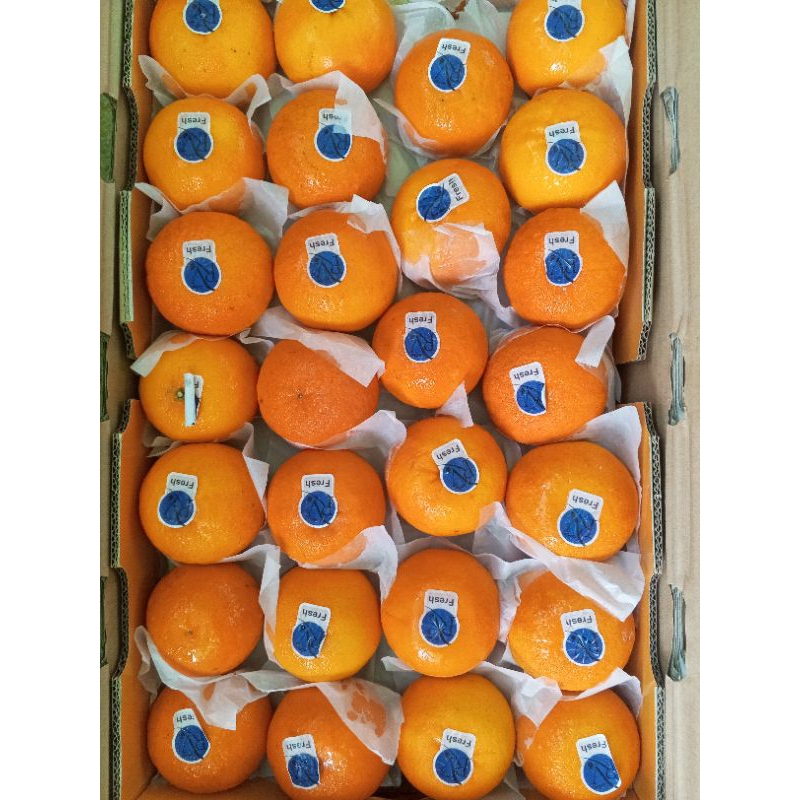 

Jeruk Wokam Manis Fresh 1 kg
