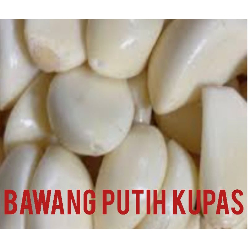 

BAWANG PUTIH KUPAS RP. 14.000 / 250 GRAM