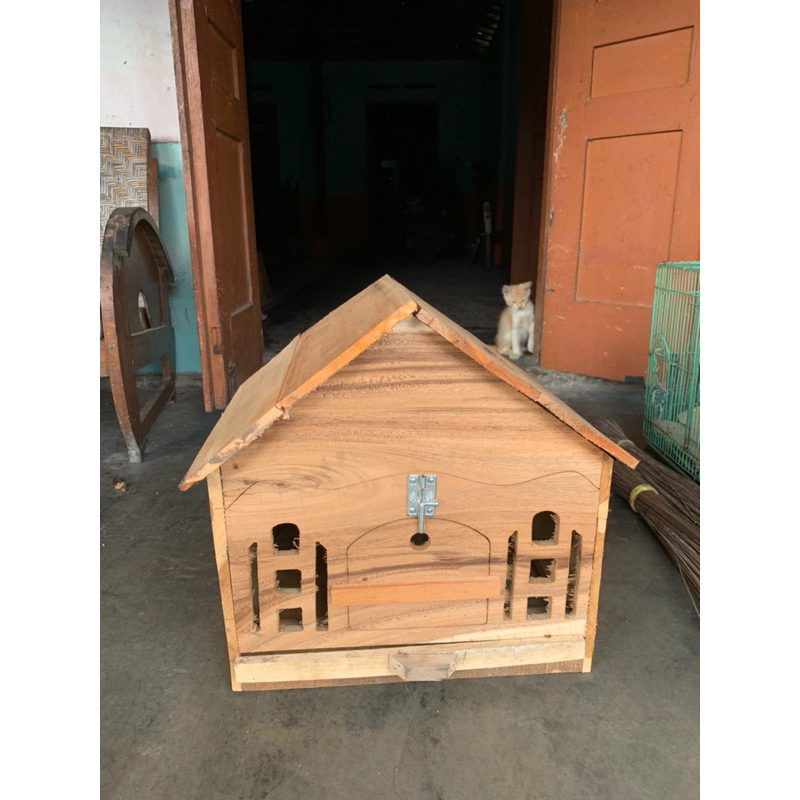 gupon rumah merpati kandang burung dara