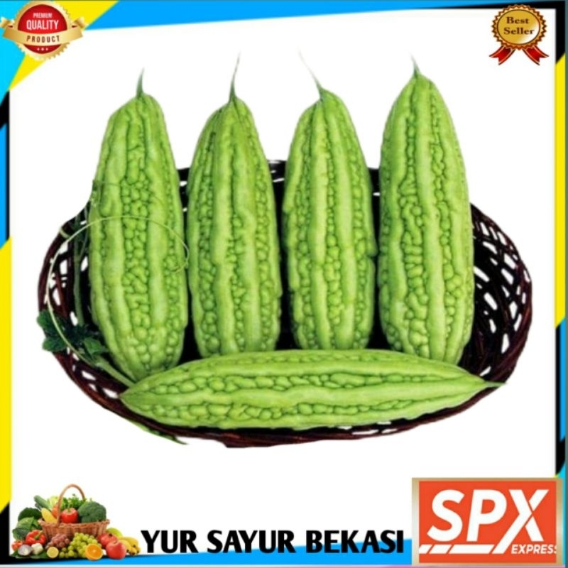 

Pare Hijau Fresh 500gr.