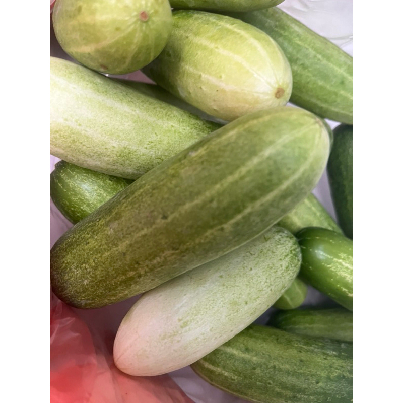 

Timun Lokal Fresh Segar 1kg