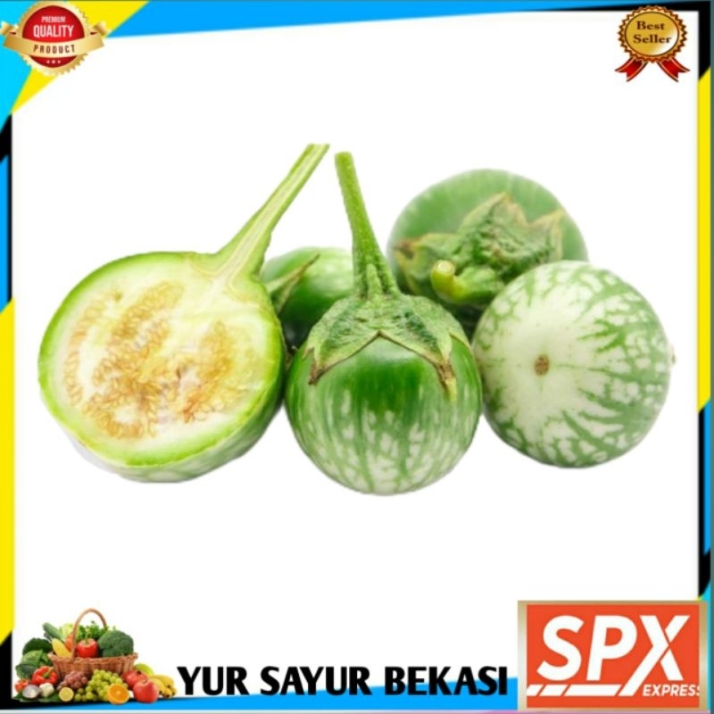 

Terong Bulat/Terong Lalap 250gr.