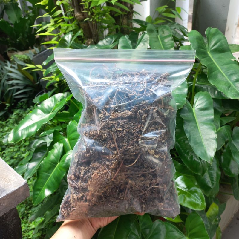 

Daun cincau Hitam Kering janggelan kering 5 kg