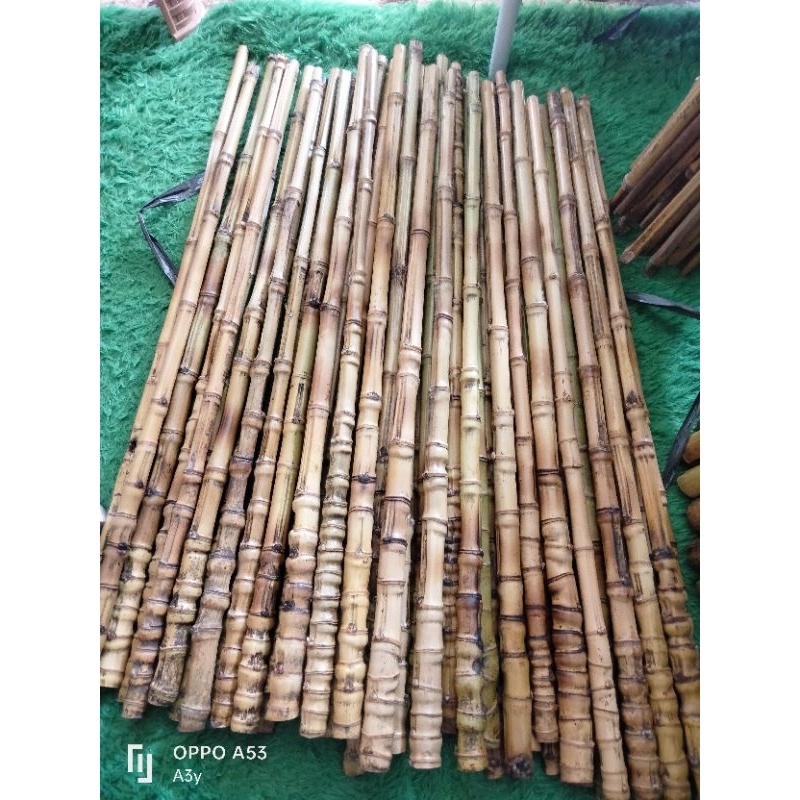 gagang #joran #pancing bambu cendani 100 batang