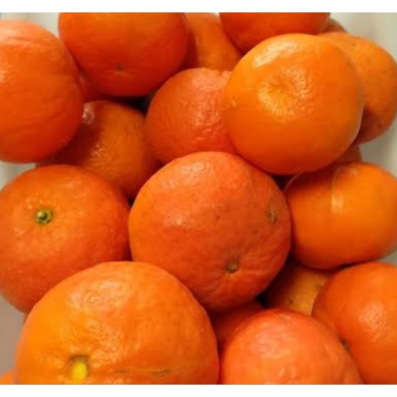 

JERUK NOVA 300-450 GR