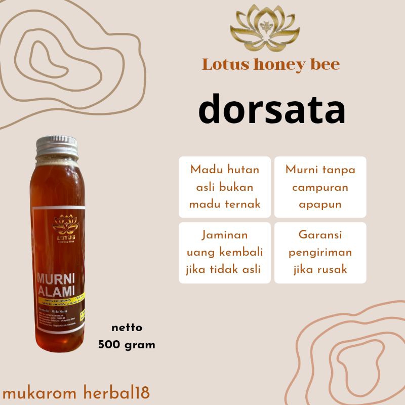 

Madu murni asli 100% dari hutan ujung kulon banten lotus honey bee dorsata 500gram