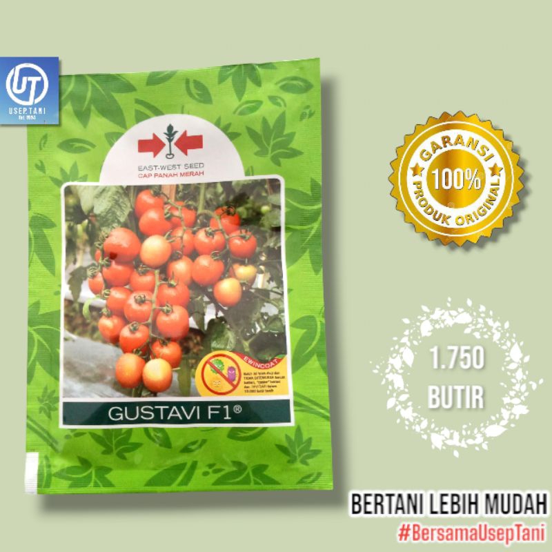 

BENIH TOMAT F1 GUSTAVI KEMASAN 1750 BUTIR CAP PANAH MERAH