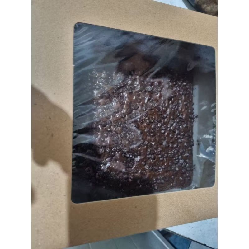 

PO Brownies chococip 22cmx22cm