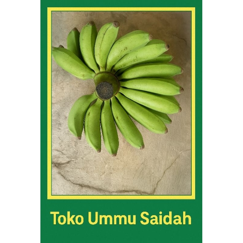 

Pisang raja