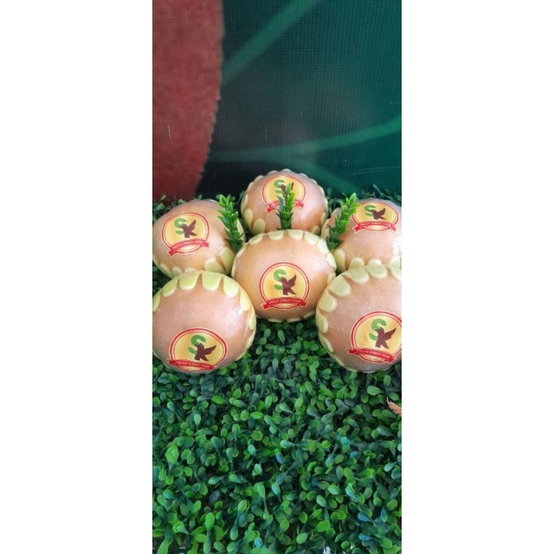 

PEAR SINGO 19 Ribu/Buah
