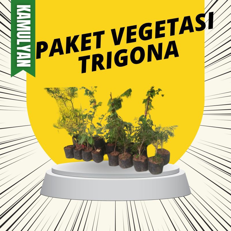 Paket Vegetasi Lebah Trigona Klanceng