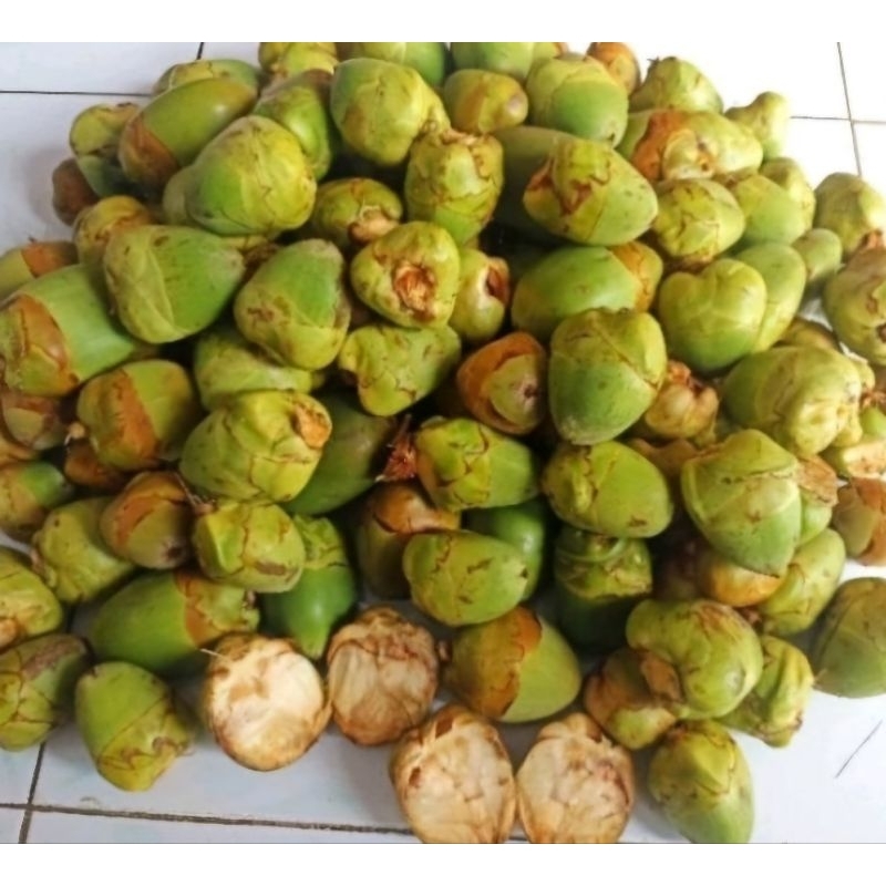 

Beluluk kelapa muda fresh, isi 20 biji
