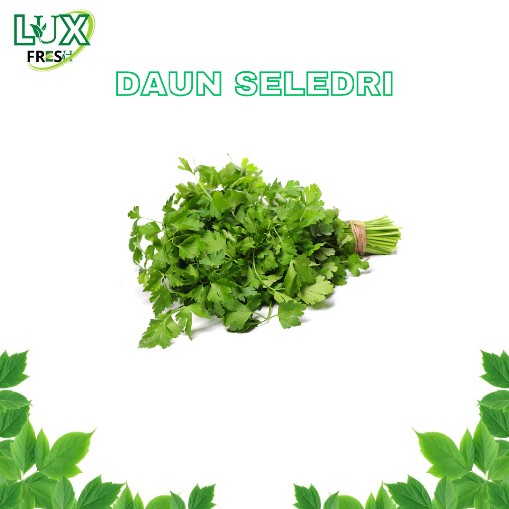 

DAUN SELEDRI 500 GRAM DAN 1 KG SEGAR DAN BERKUALITAS