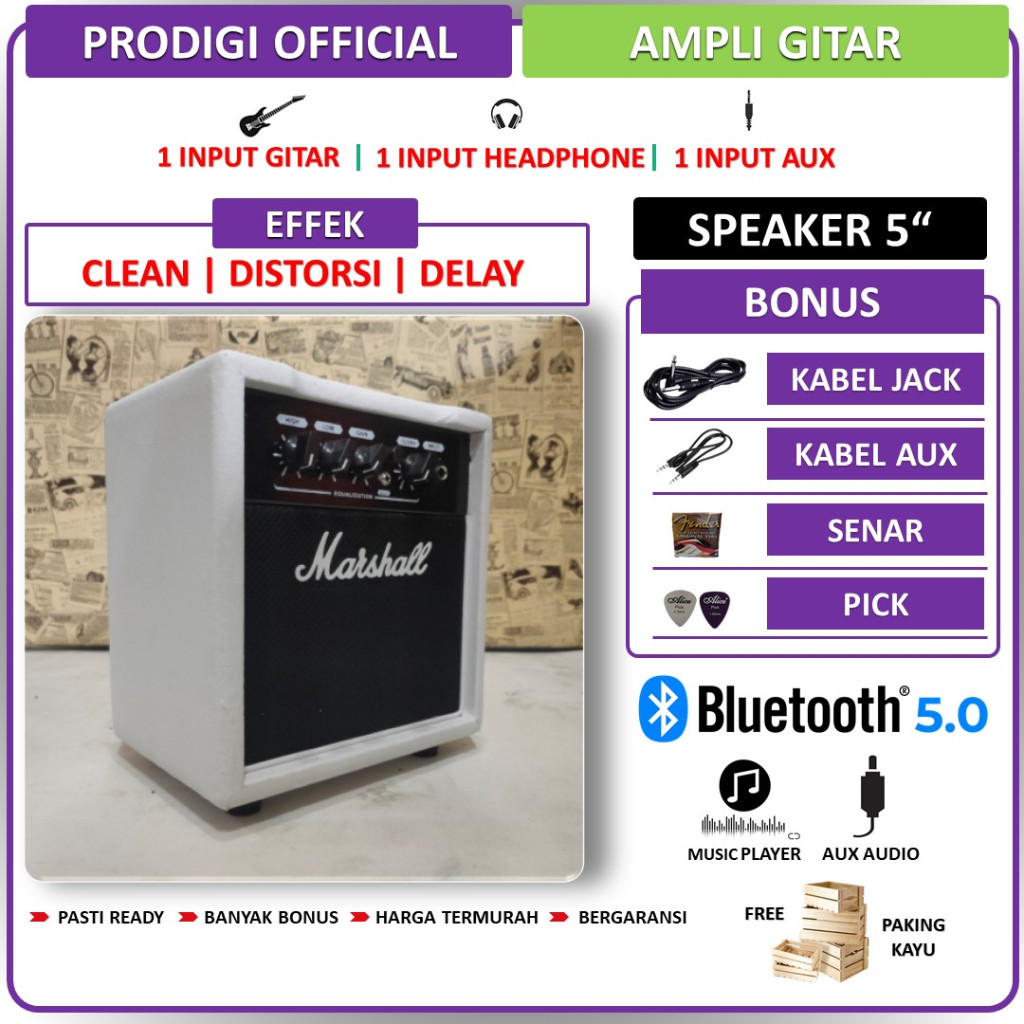 Ampli Gitar & Bass 5 Inch ada bluetooth & efek distorsi & efek delay 2 Input Bonus Kabel Jack & Sena