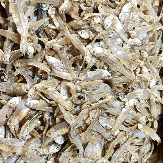 

TERI CEPLES IKAN ASIN [IKAN ASIN AZIZAH]
