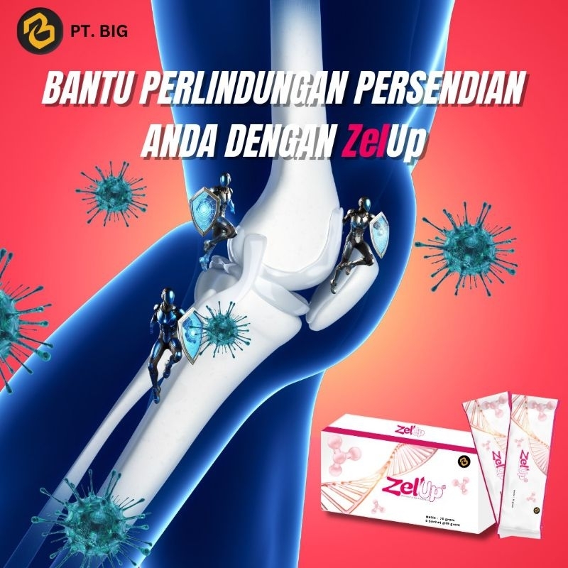 

ZelUp SUPERFOOD NUTRISI SEL