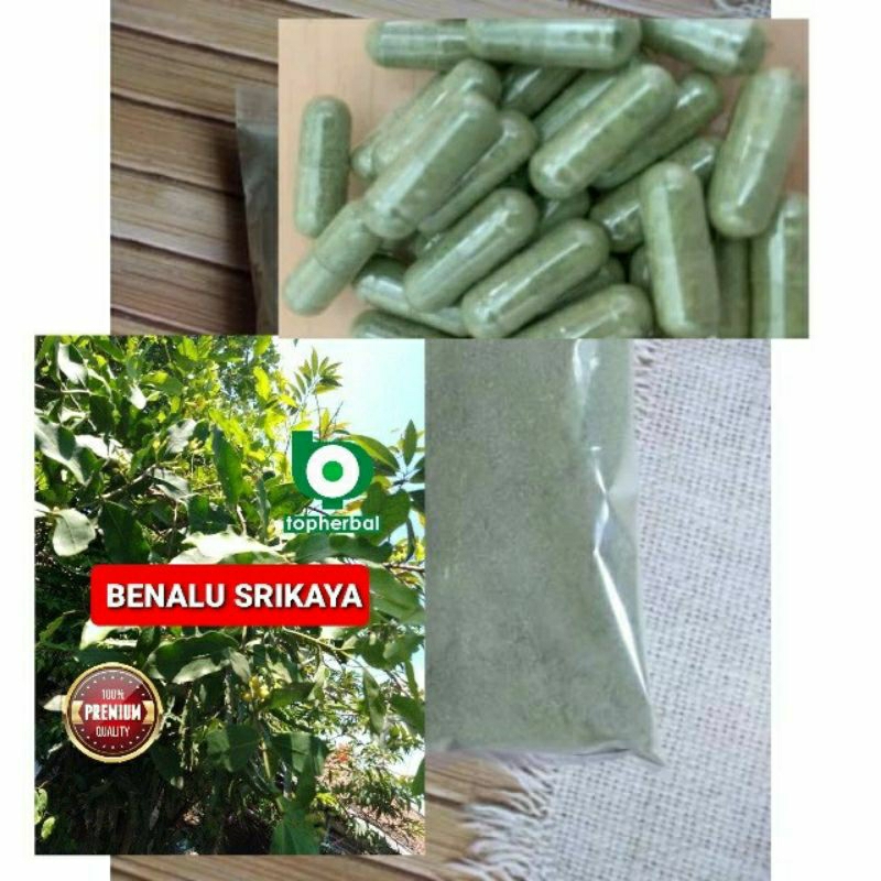 

Kapsul Benalu Srikaya isi 100 Kapsul (Kering Hijau Organik Super Premium)