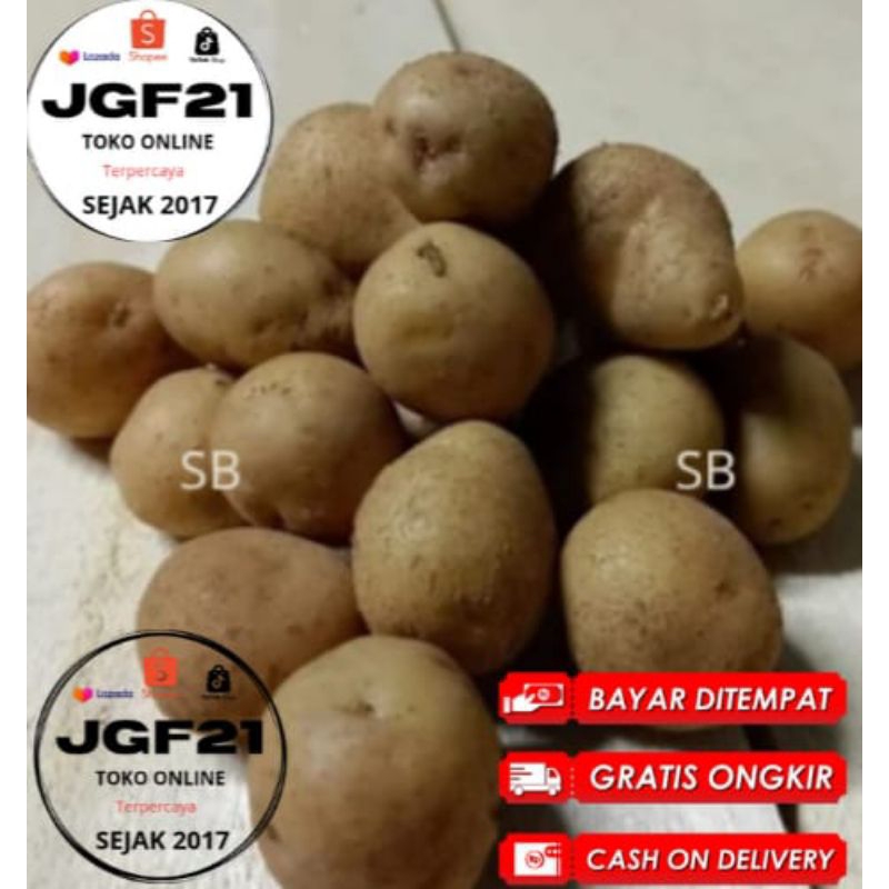 

COD 500Gr Original Kentang dieng baby potato Fresh Konvensional Sayuran Box