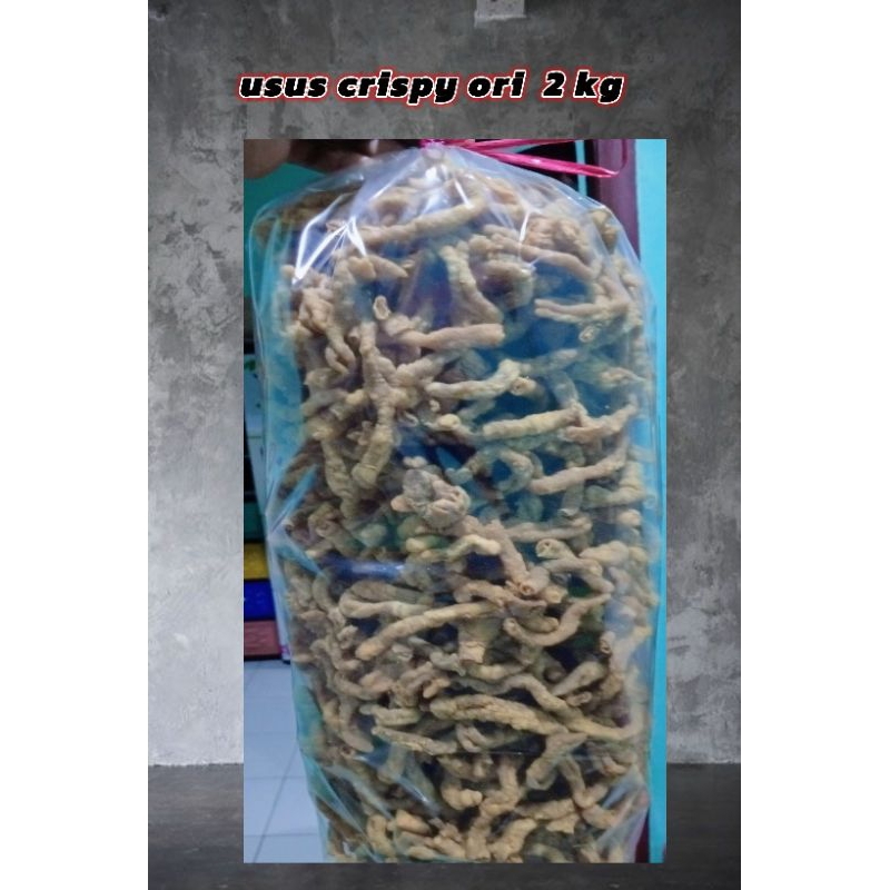 

usus crispy ori isi 2 kg ( Tidak tebal tepung )