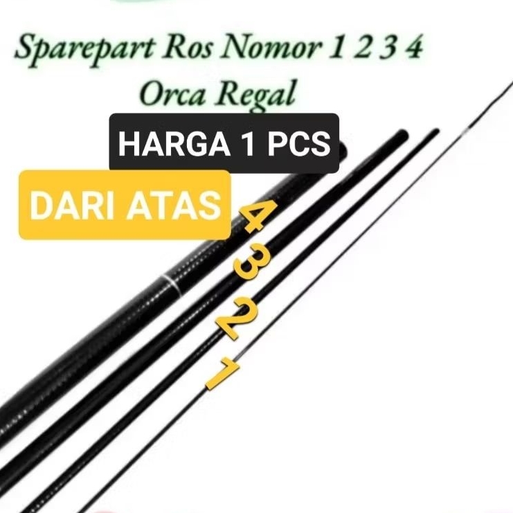 Ruas orca regal