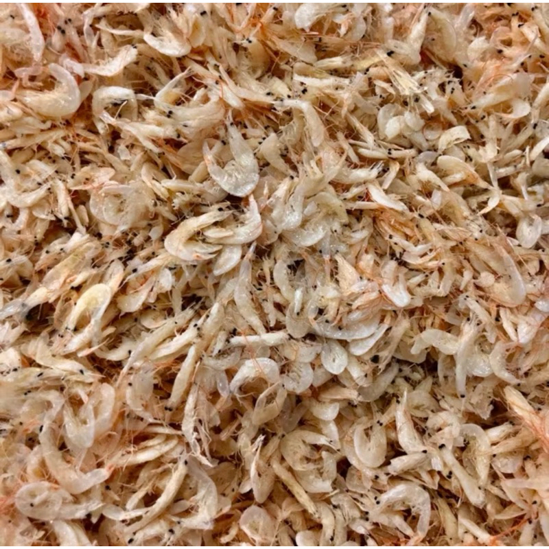 

udang rebon 1 bungkus