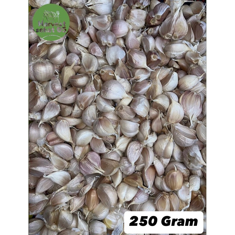 

Bawang Putih kating 250 Gram Asli 100%