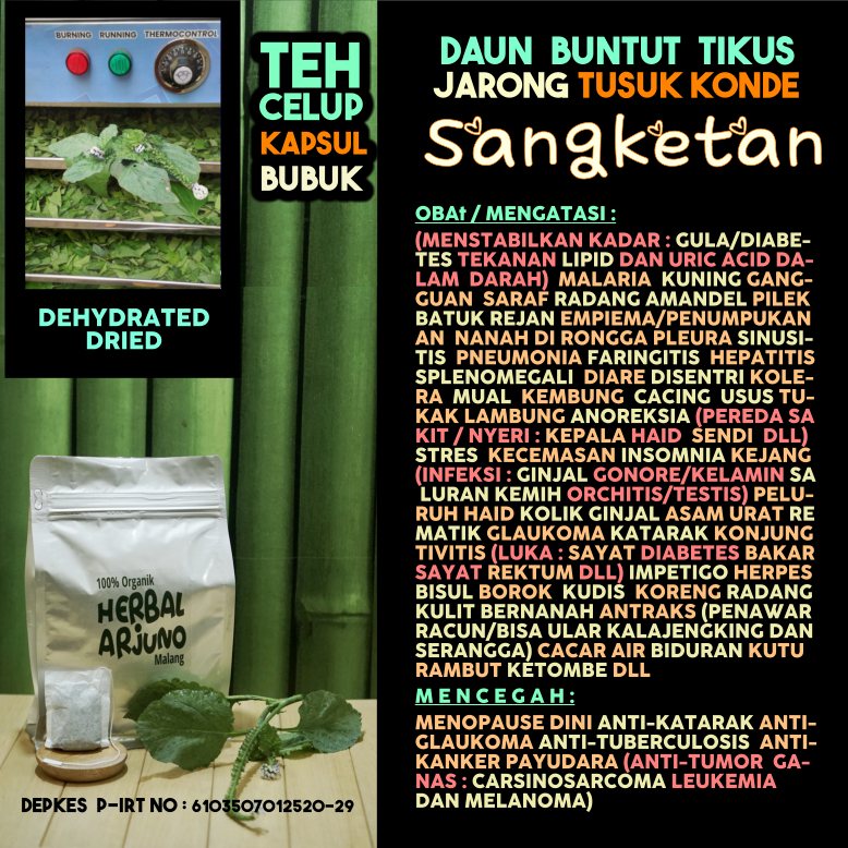 

Dehydrated Dried Teh Kapsul Bubuk Daun Sangketan Tusuk Konde Obat Pneumonia Kanker Payudara Radang Amandel Testis Hepatitis Limpa Kuning Hipertensi Rematik Asam Urat Gonore Ginjal Anoreksia Glaukoma Katarak Impetigo Luka Diabetes Maag Herpes Herbal Alami