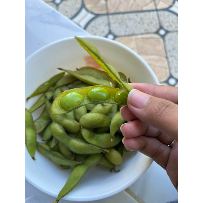 

READY kacang kedelai jepang / kacang edamame berat 1kg READY fresh kebun