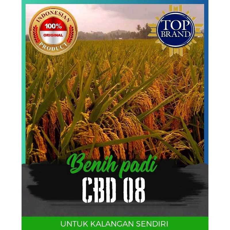 Bibit benih padi cbd 08 unggul  berbobot 1kg