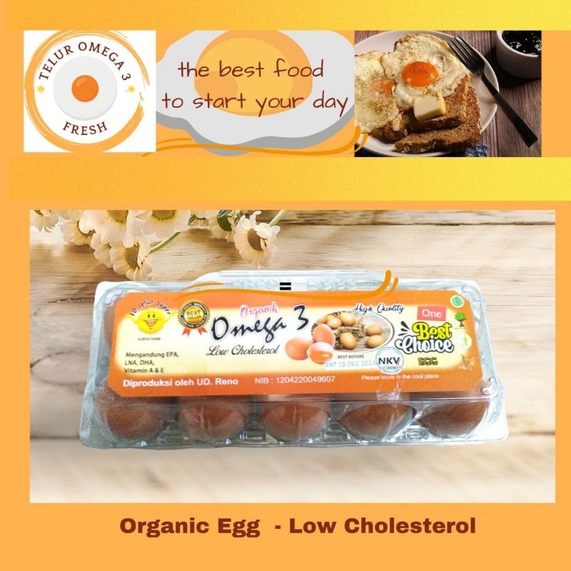

PROMO TELUR OMEGA 3