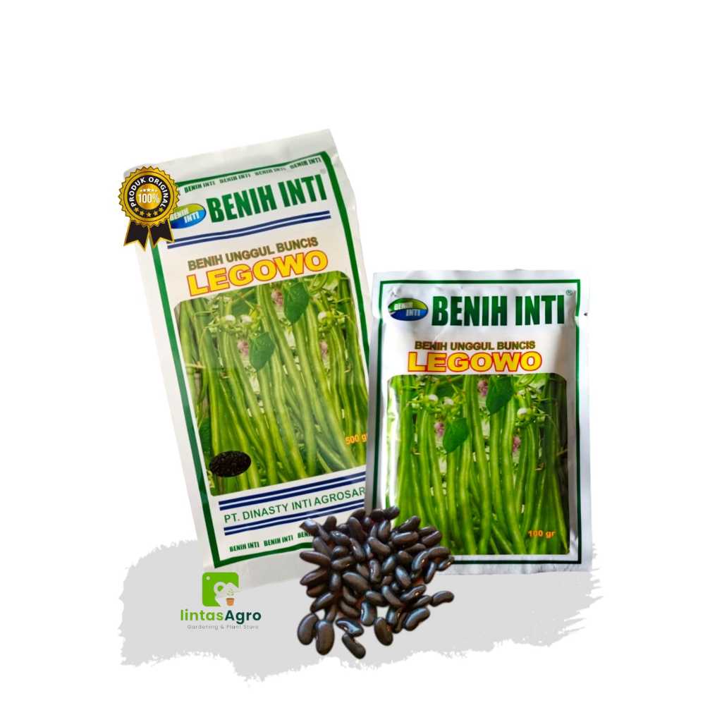 Benih Unggul Buncis LEGOWO Biji Hitam Asli cap Benih Inti Lebat & Tidak Mudah Patah